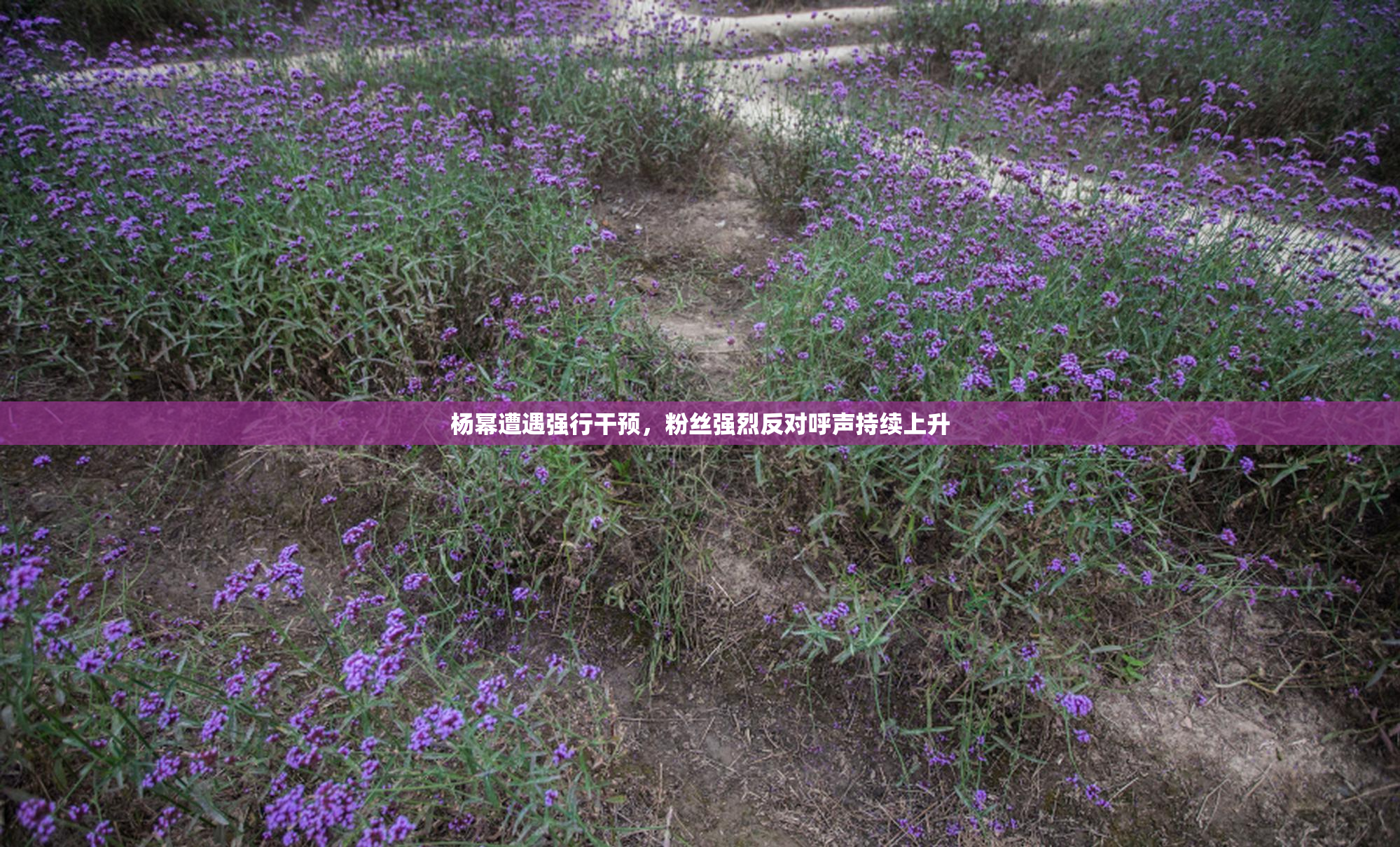 杨幂遭遇强行干预，粉丝强烈反对呼声持续上升