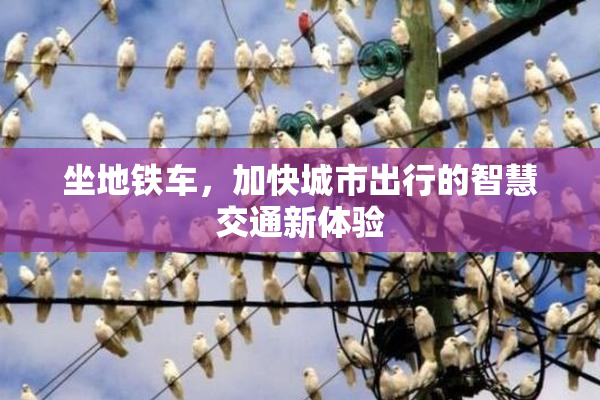 坐地铁车，加快城市出行的智慧交通新体验