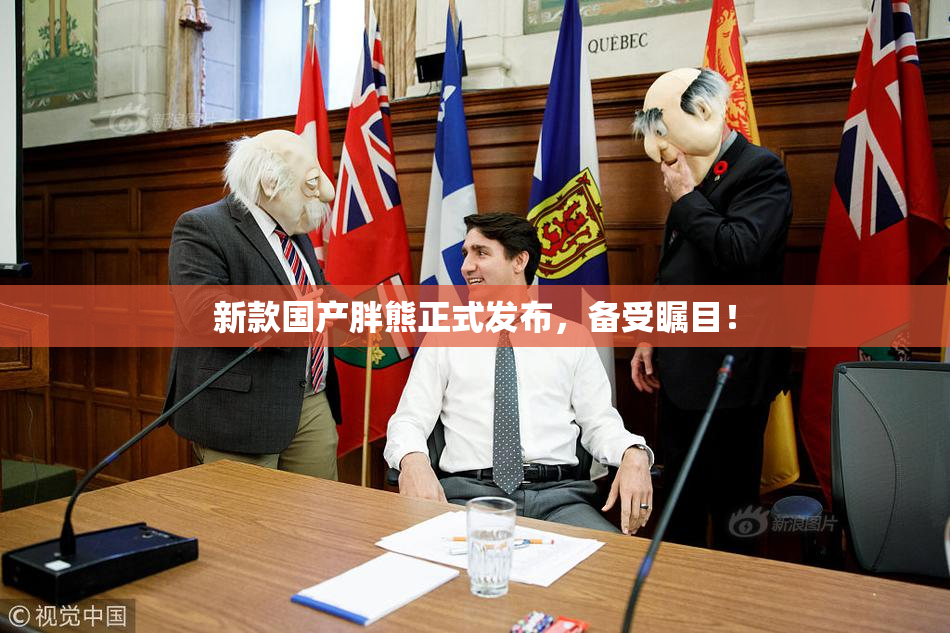 新款国产胖熊正式发布，备受瞩目！