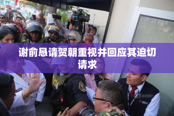 谢俞恳请贺朝重视并回应其迫切请求