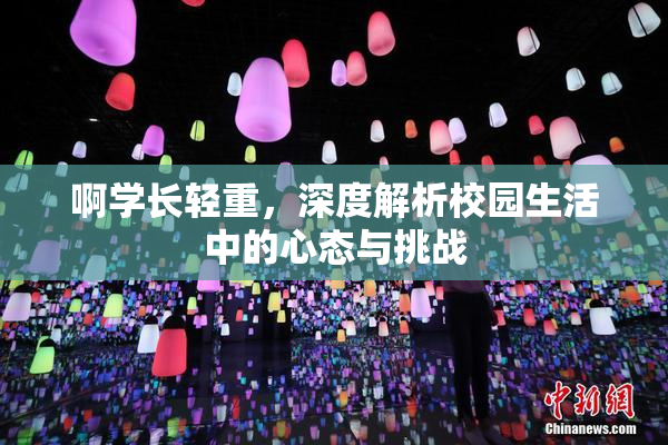啊学长轻重，深度解析校园生活中的心态与挑战