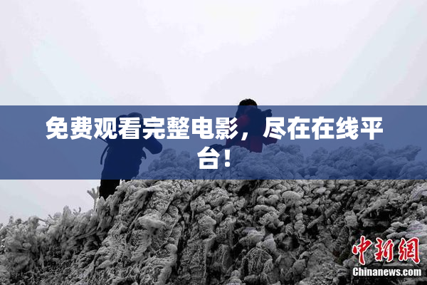 免费观看完整电影，尽在在线平台！