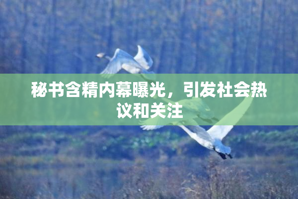 秘书含精内幕曝光，引发社会热议和关注