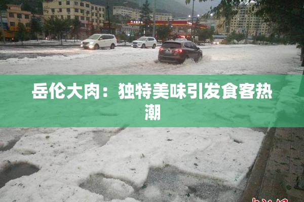 岳伦大肉：独特美味引发食客热潮