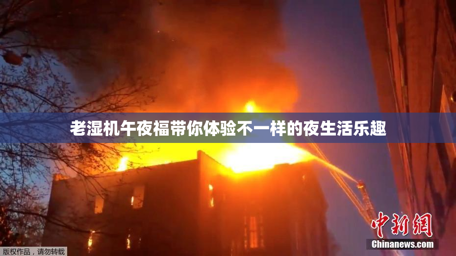 老湿机午夜福带你体验不一样的夜生活乐趣