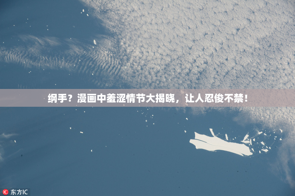纲手？漫画中羞涩情节大揭晓，让人忍俊不禁！