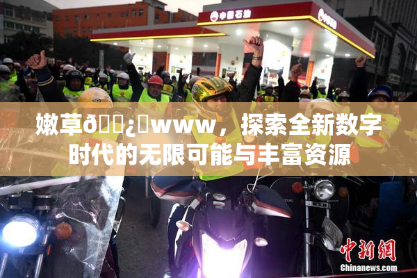 嫩草🌿‌www，探索全新数字时代的无限可能与丰富资源