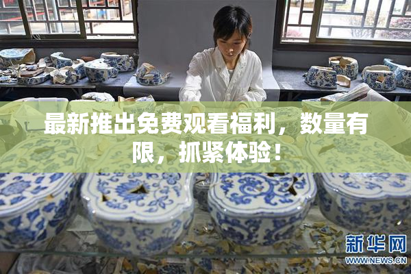 最新推出免费观看福利，数量有限，抓紧体验！