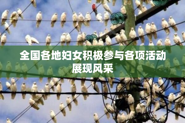 全国各地妇女积极参与各项活动展现风采