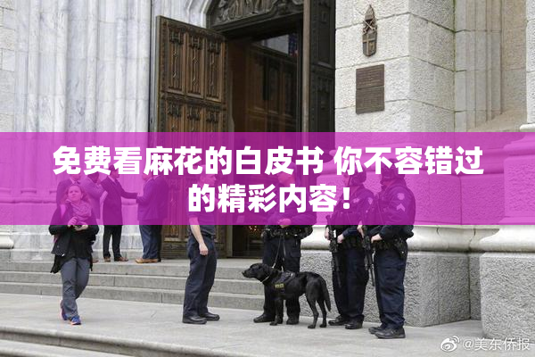 免费看麻花的白皮书 你不容错过的精彩内容！
