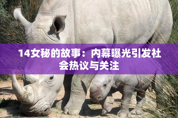 14女秘的故事：内幕曝光引发社会热议与关注