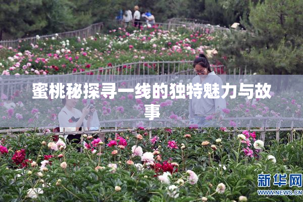蜜桃秘探寻一线的独特魅力与故事