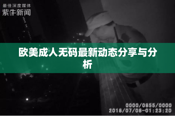 欧美成人无码最新动态分享与分析