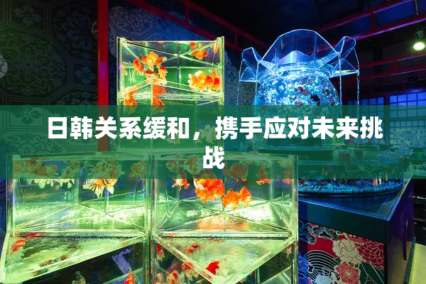 日韩关系缓和，携手应对未来挑战
