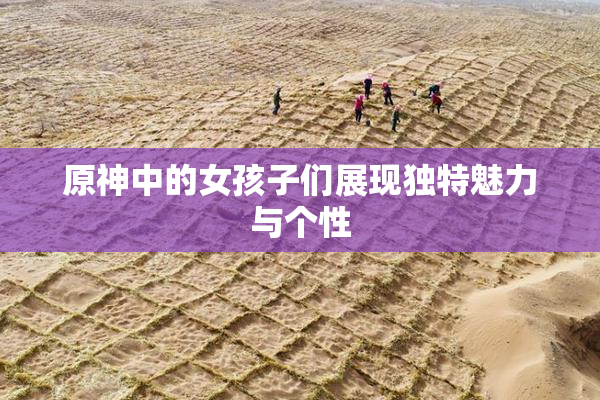 原神中的女孩子们展现独特魅力与个性
