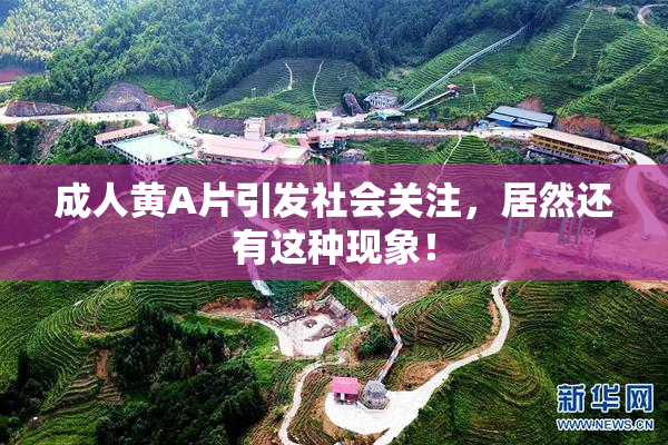 成人黄A片引发社会关注，居然还有这种现象！