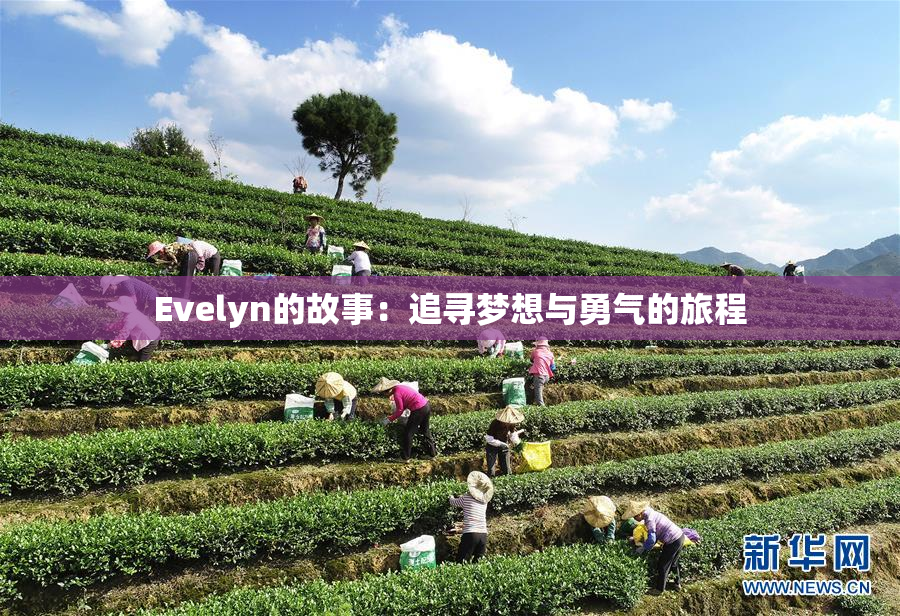 Evelyn的故事：追寻梦想与勇气的旅程
