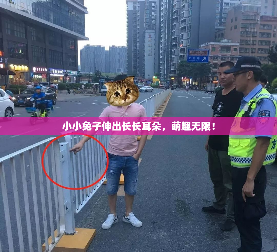 小小兔子伸出长长耳朵，萌趣无限！