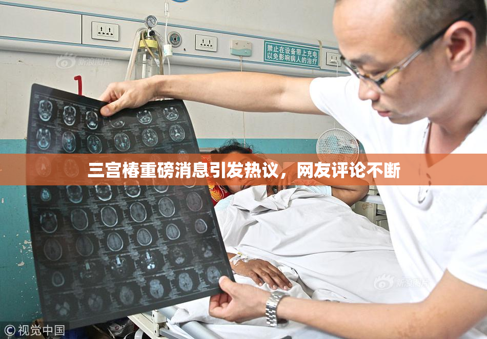 三宫椿重磅消息引发热议，网友评论不断