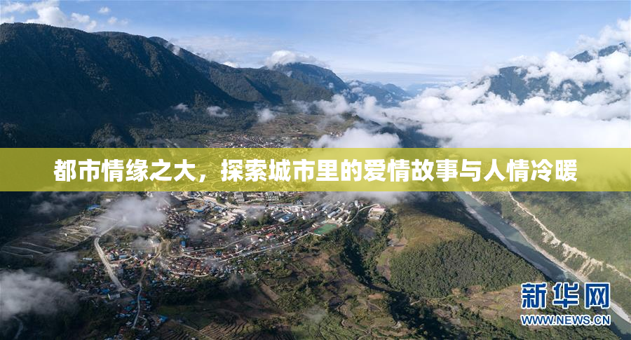 都市情缘之大，探索城市里的爱情故事与人情冷暖