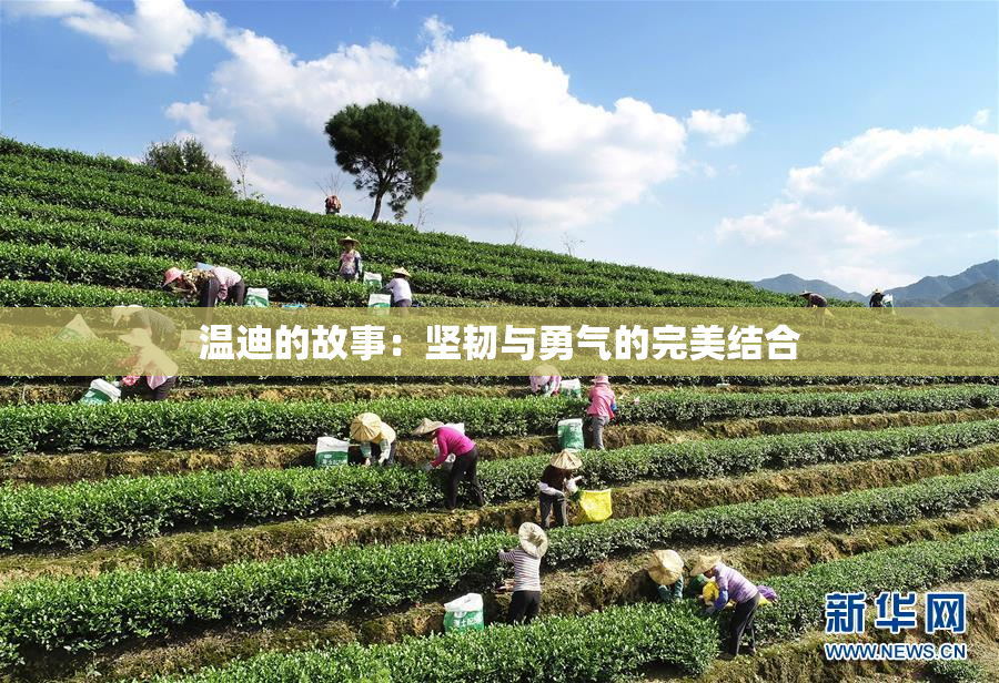 温迪的故事：坚韧与勇气的完美结合