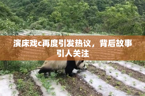 演床戏c再度引发热议，背后故事引人关注