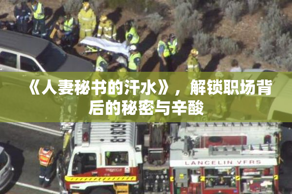 《人妻秘书的汗水》，解锁职场背后的秘密与辛酸