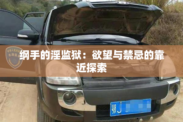 纲手的淫监狱：欲望与禁忌的靠近探索