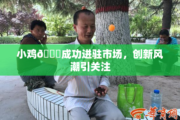 小鸡🐔成功进驻市场，创新风潮引关注