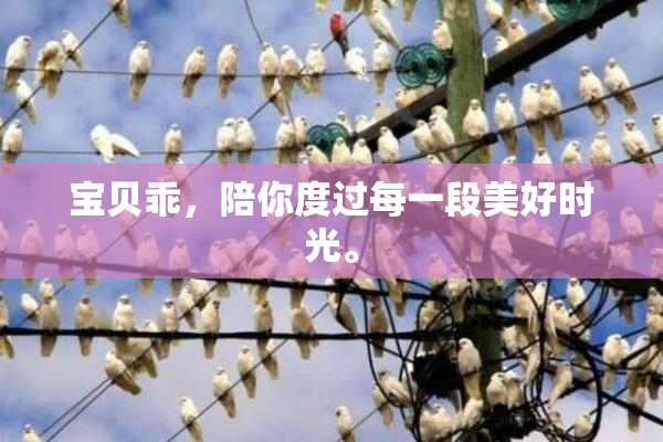 宝贝乖，陪你度过每一段美好时光。