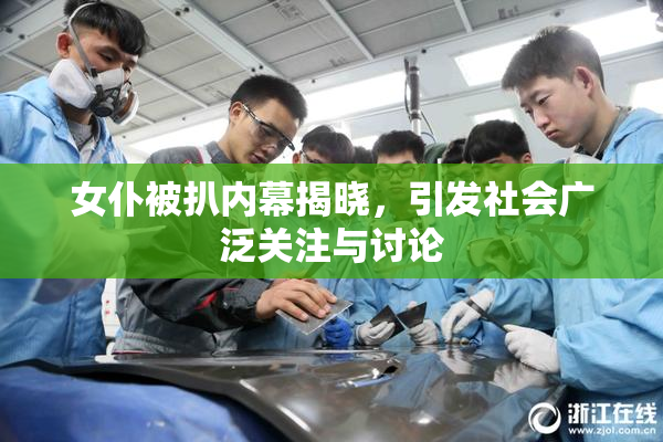 女仆被扒内幕揭晓，引发社会广泛关注与讨论
