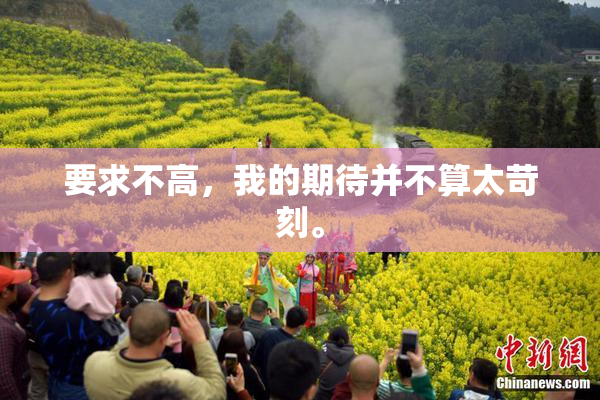 要求不高，我的期待并不算太苛刻。