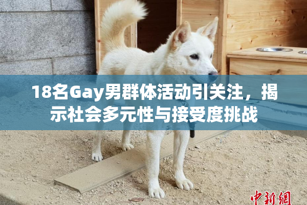 18名Gay男群体活动引关注，揭示社会多元性与接受度挑战