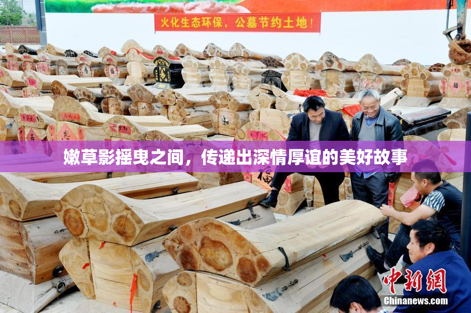 嫩草影摇曳之间，传递出深情厚谊的美好故事