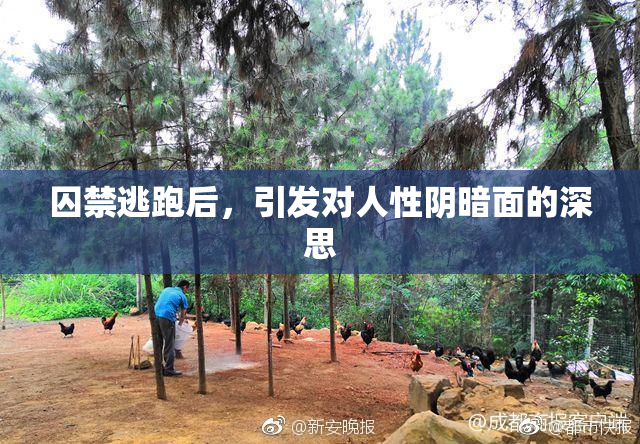 囚禁逃跑后，引发对人性阴暗面的深思
