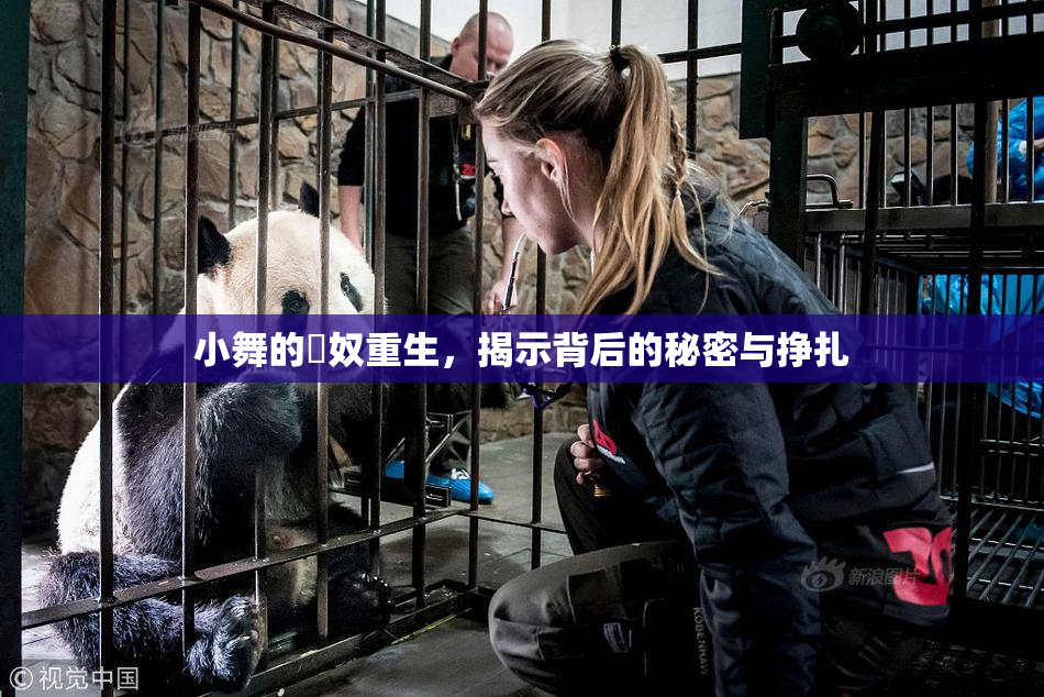 小舞的婬奴重生，揭示背后的秘密与挣扎