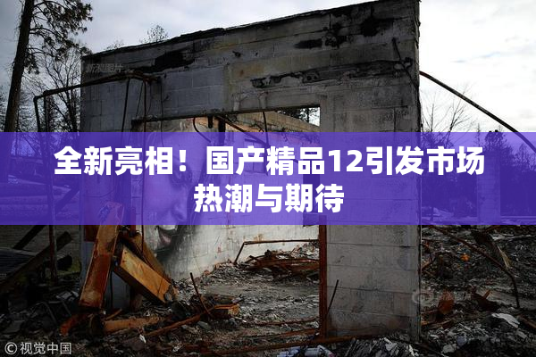 全新亮相！国产精品12引发市场热潮与期待