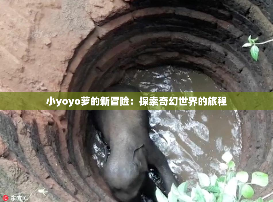小yoyo萝的新冒险：探索奇幻世界的旅程