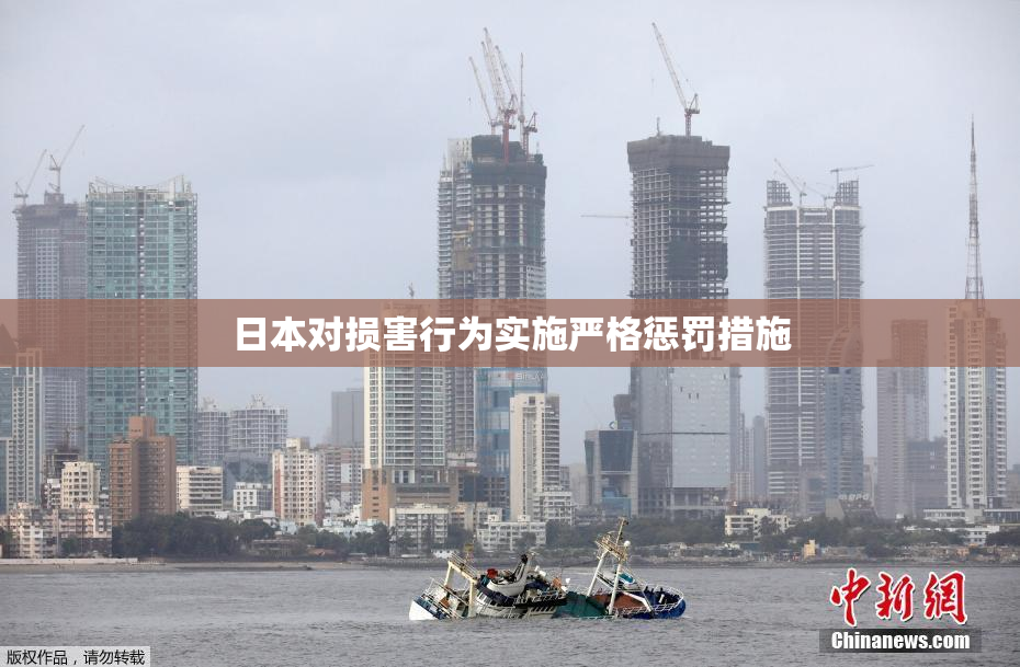 日本对损害行为实施严格惩罚措施