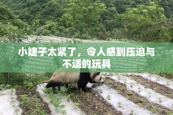 小婕子太紧了，令人感到压迫与不适的玩具