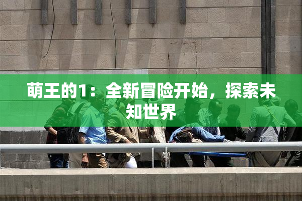 萌王的1：全新冒险开始，探索未知世界