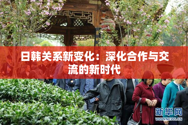 日韩关系新变化：深化合作与交流的新时代