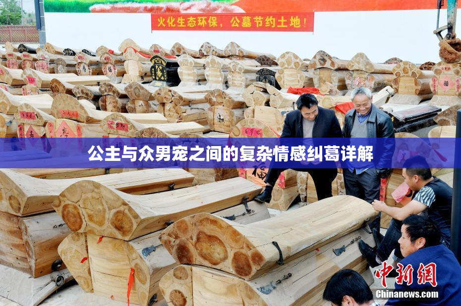 公主与众男宠之间的复杂情感纠葛详解
