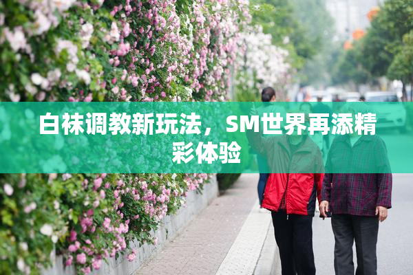 白袜调教新玩法，SM世界再添精彩体验