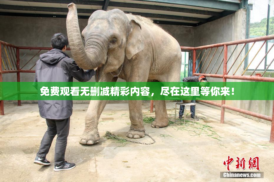 免费观看无删减精彩内容，尽在这里等你来！