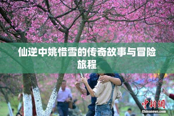 仙逆中姚惜雪的传奇故事与冒险旅程