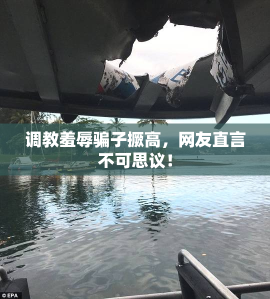 调教羞辱骗子撅高，网友直言不可思议！