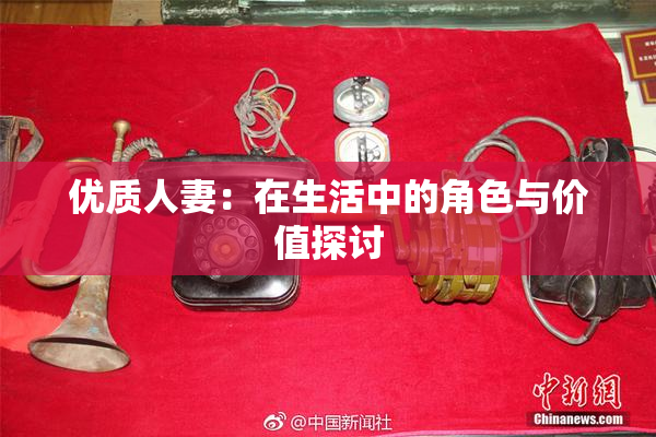 优质人妻：在生活中的角色与价值探讨