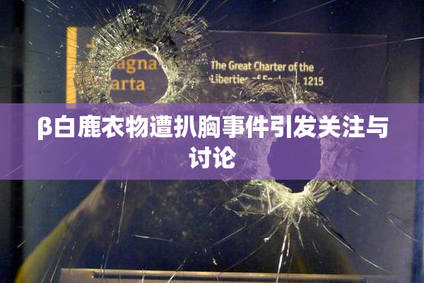 β白鹿衣物遭扒胸事件引发关注与讨论