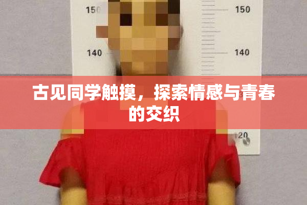 古见同学触摸，探索情感与青春的交织